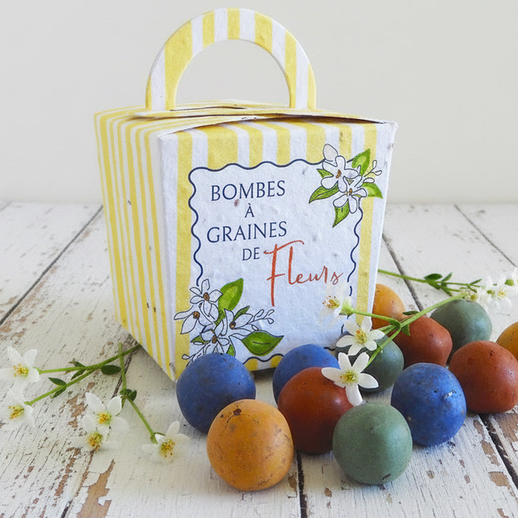 bombes à graines de fleurs