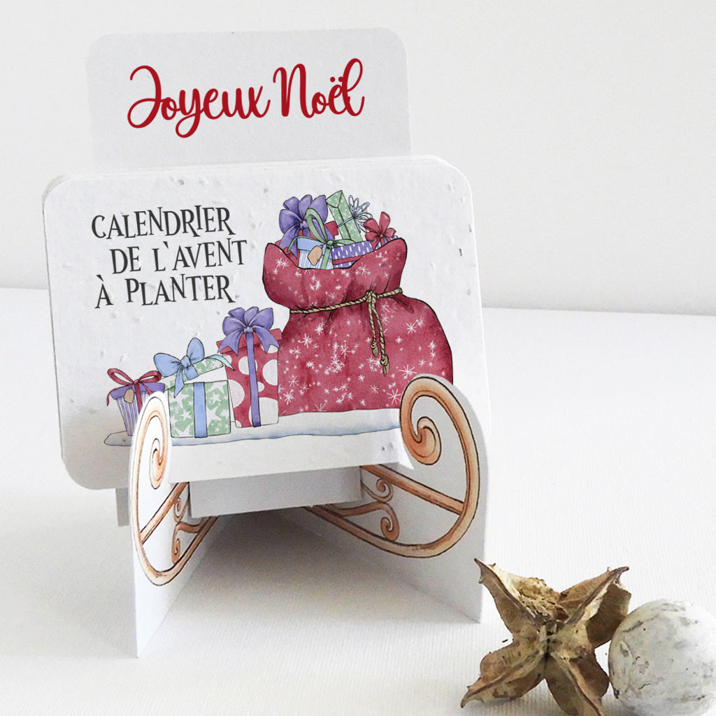 Calendriers de l'Avent à planter 