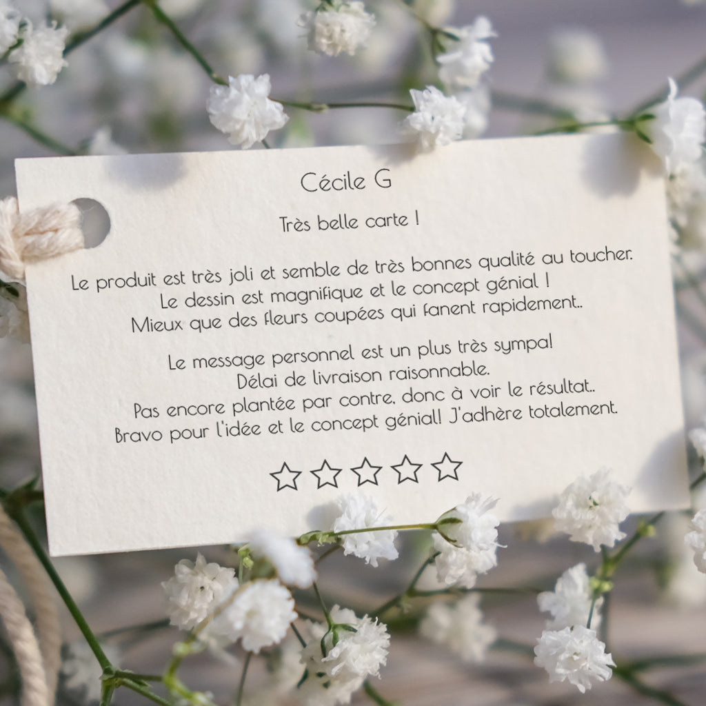 Carte à planter avis