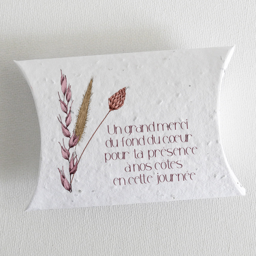 boîte dragée à planter