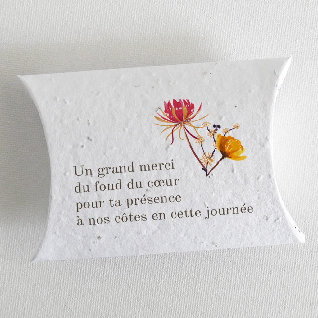 boîte dragée à planter mariage