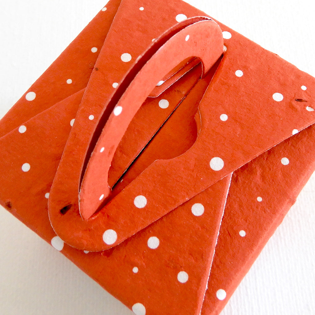 boîte papier ensemencé