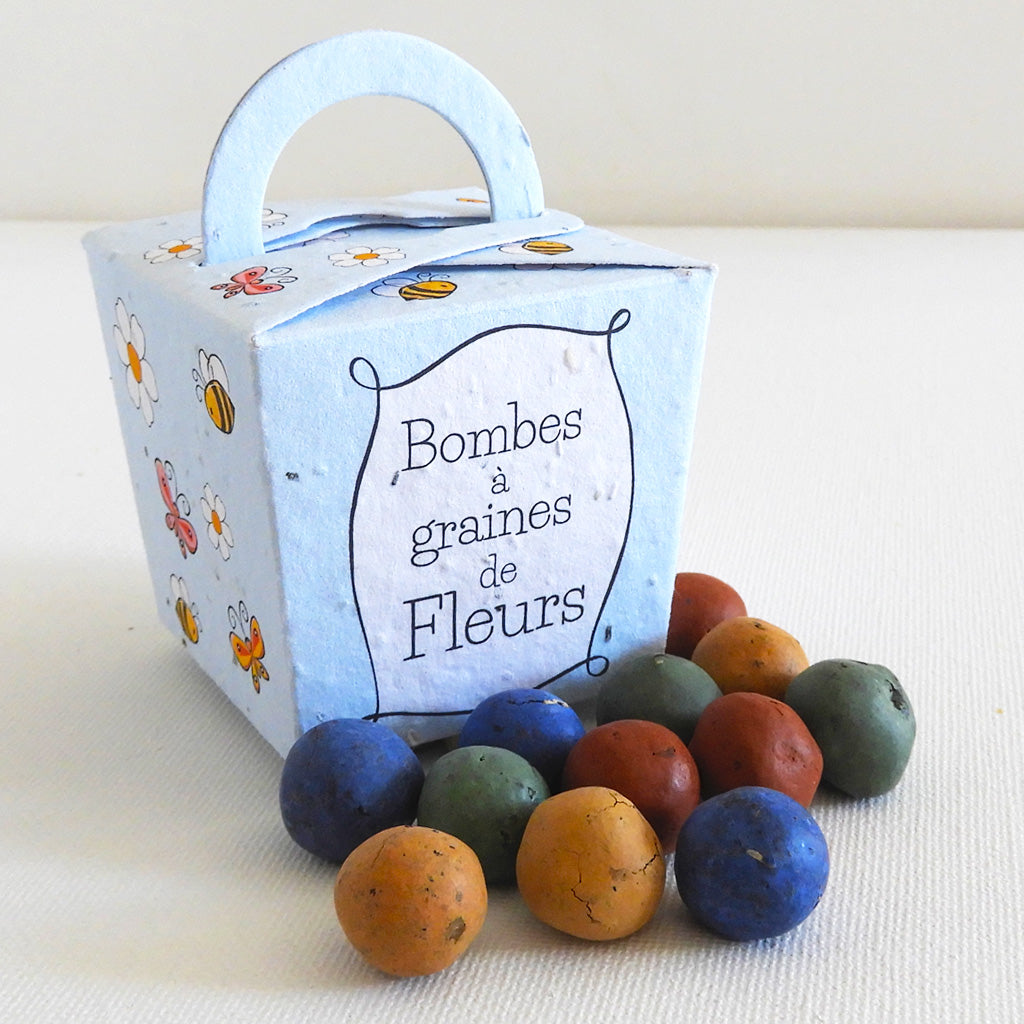 bombes à graines de fleurs