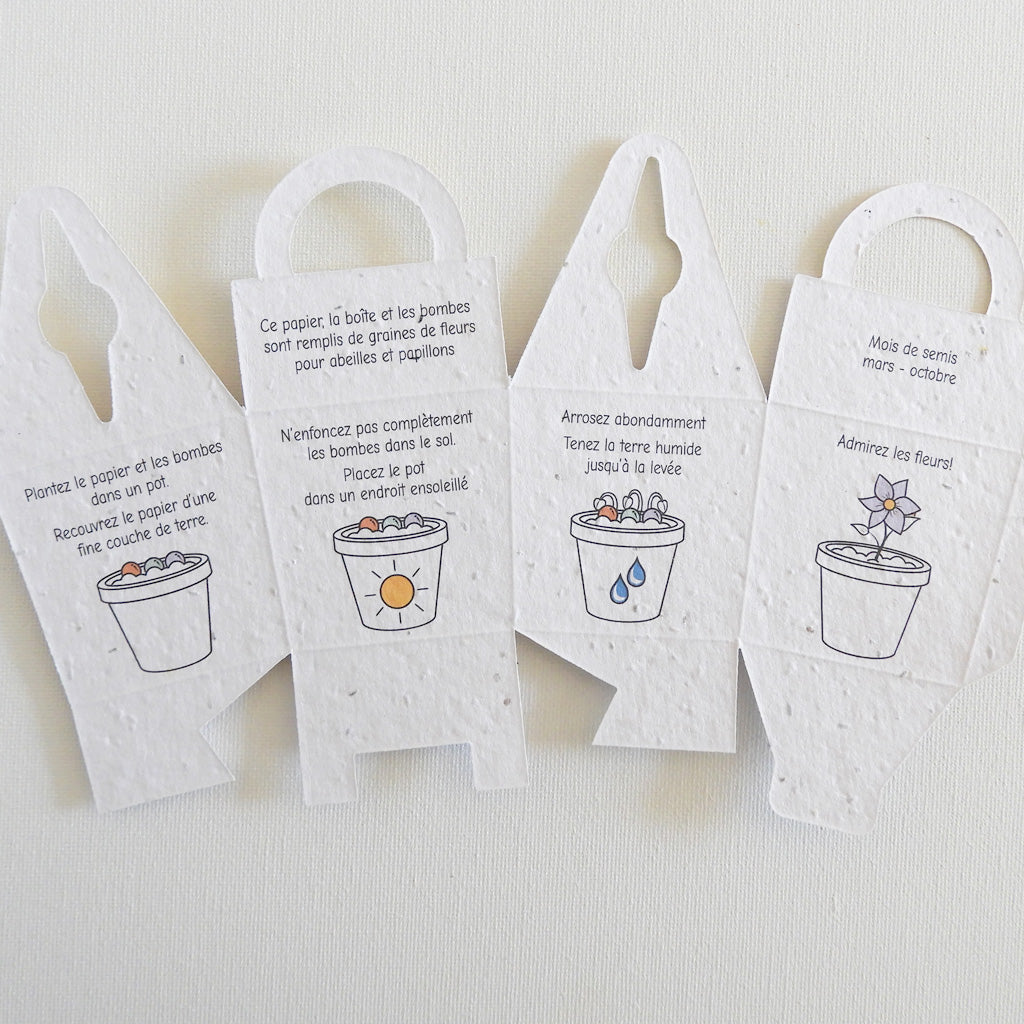 bombes à graines de fleurs conseils de plantation