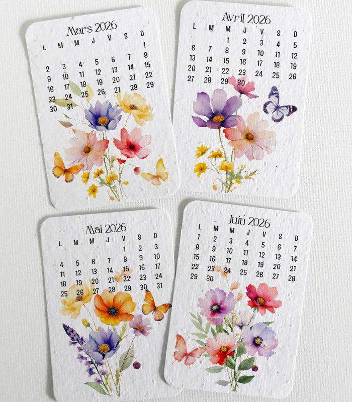 cadeau à planter calendrier