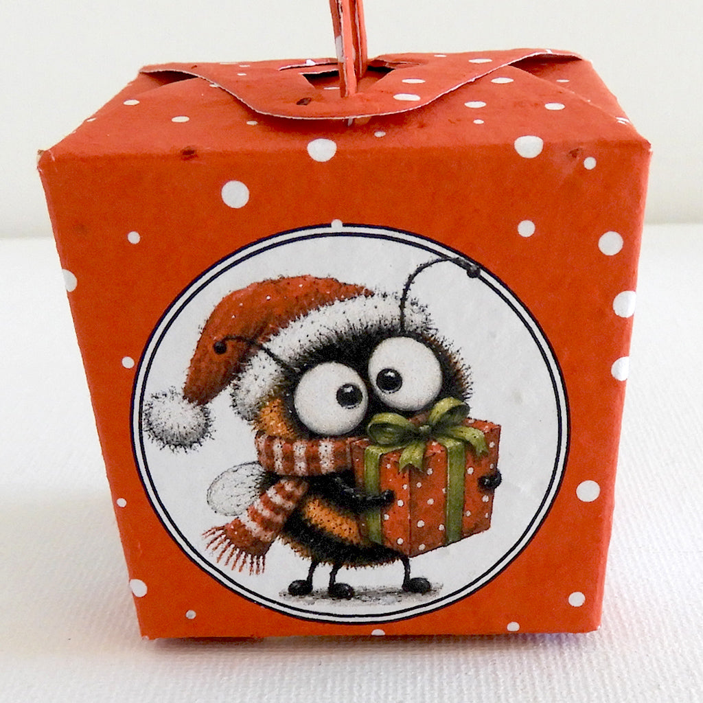 cadeau de Noël à planter