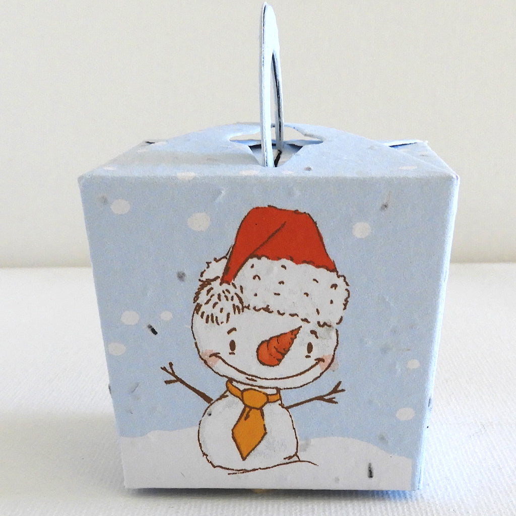 cadeau de Noël à semer