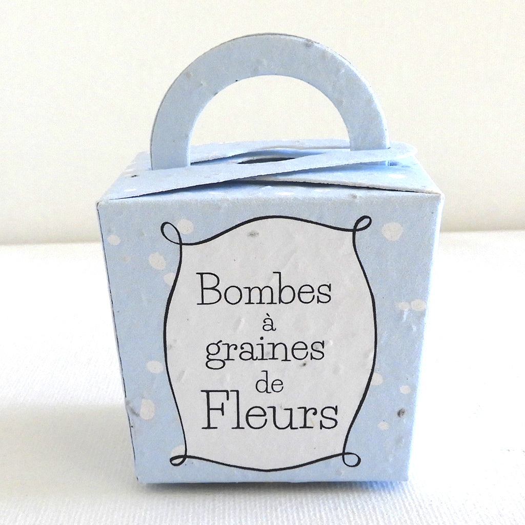 cadeau de Noël  écoresponsable à planter 