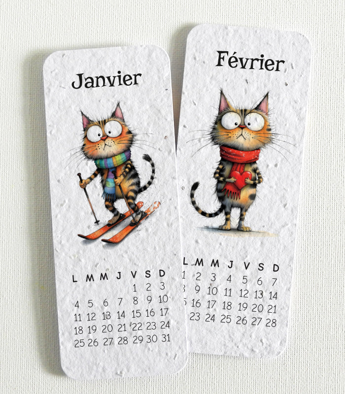 cadeau de Noël écoresponsable calendrier à planter