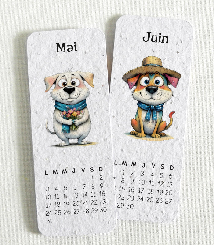 cadeau de Noël écoresponsable calendrier à planter