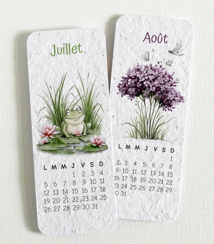 cadeau de Noël unique calendrier à planter