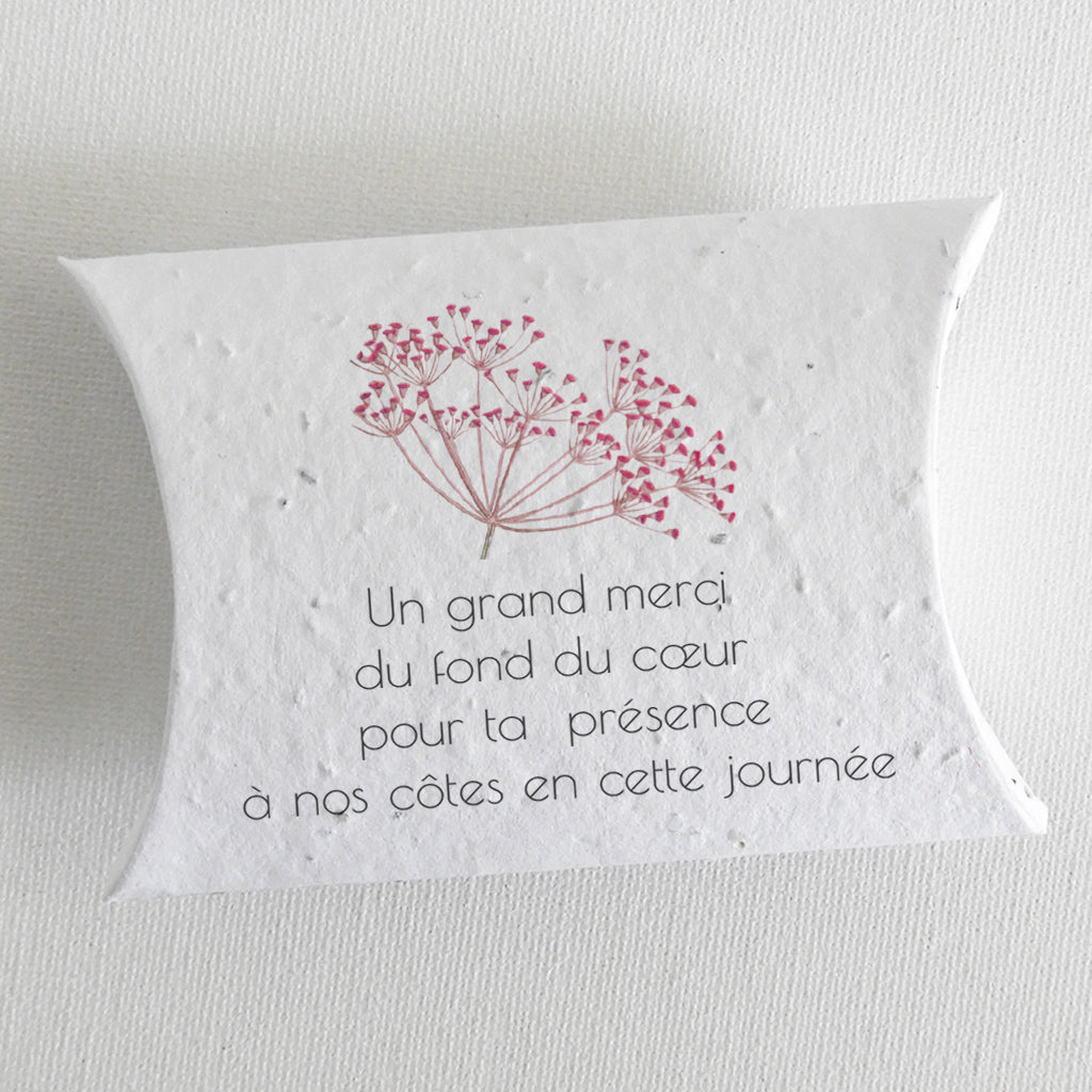 cadeau invité à planter