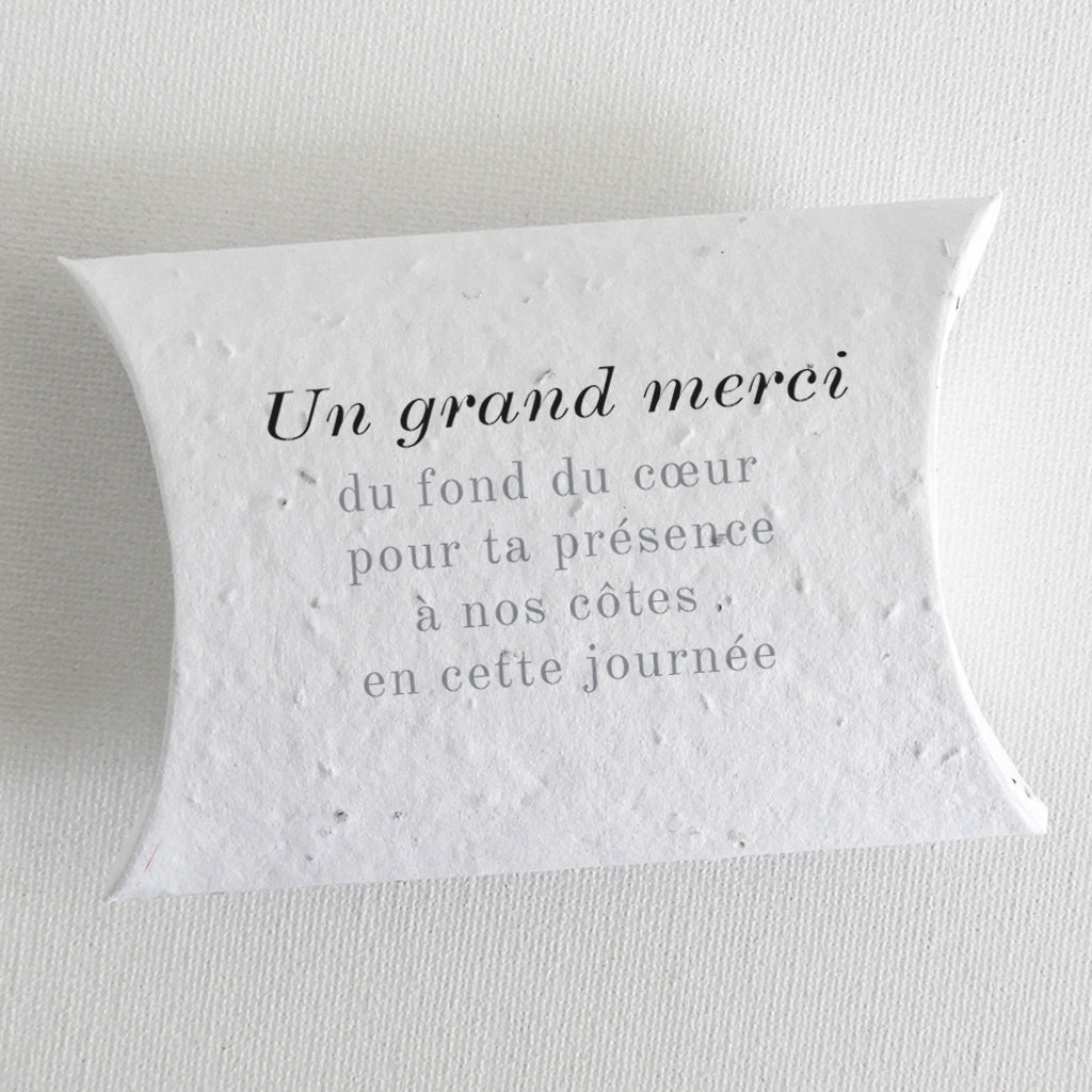 cadeau invité mariage à planter