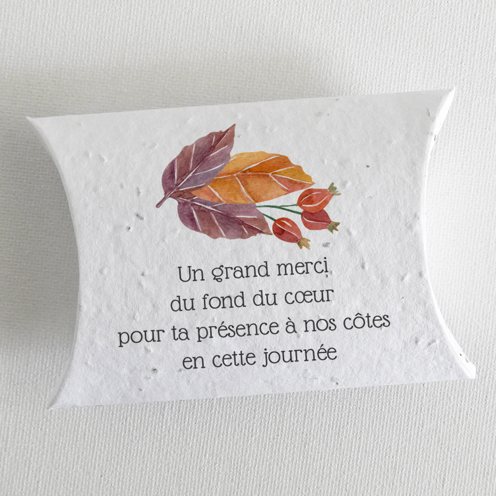 cadeau invité mariage à planter
