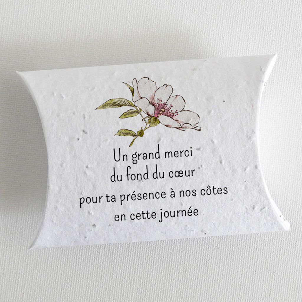 cadeau invité mariage papier ensemencé