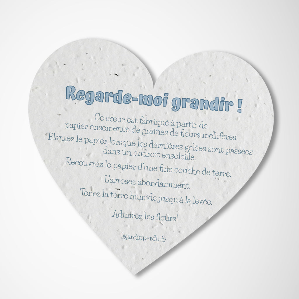 cadeau invité nounours cœur à planter