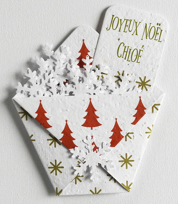 cadeau de noël à planter 