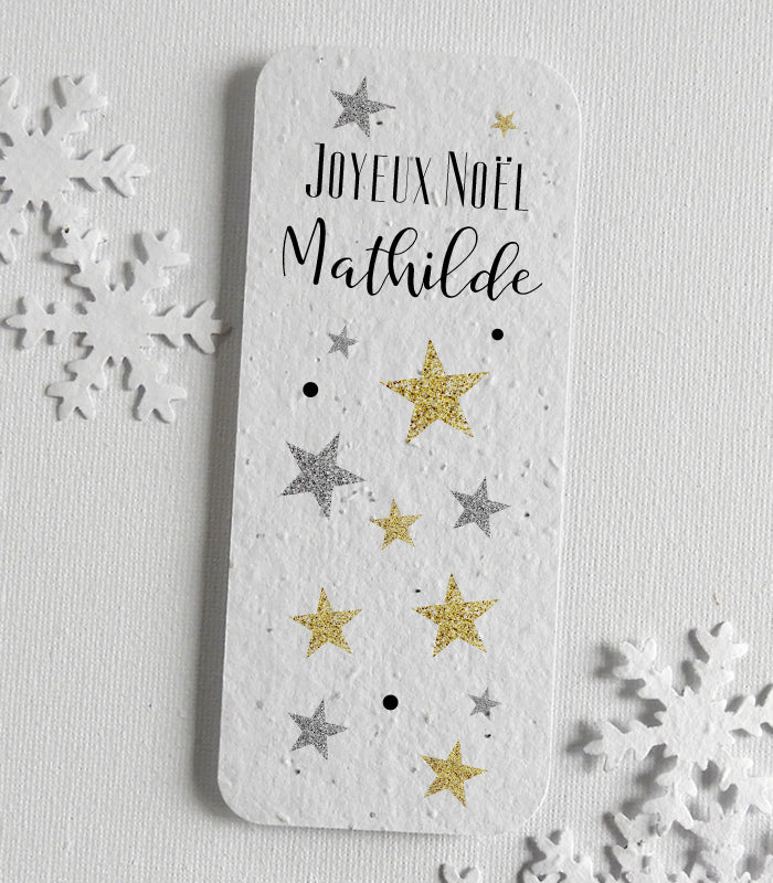 cadeau de noël  original papier ensemencé