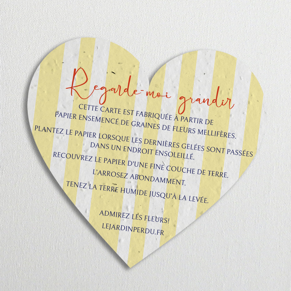 cadeau invité  baptême à planter