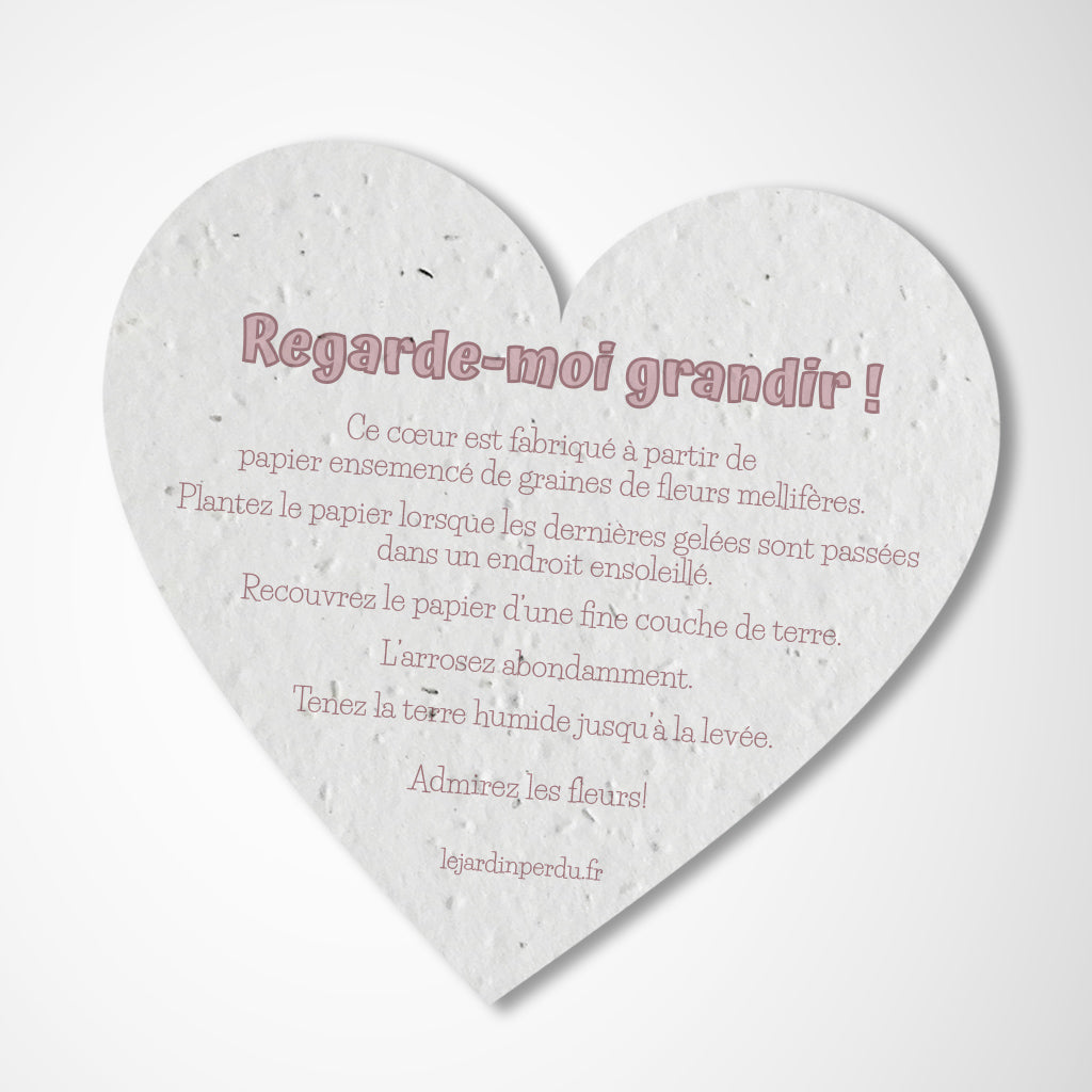 cadeau invité baptême cœur à planter 