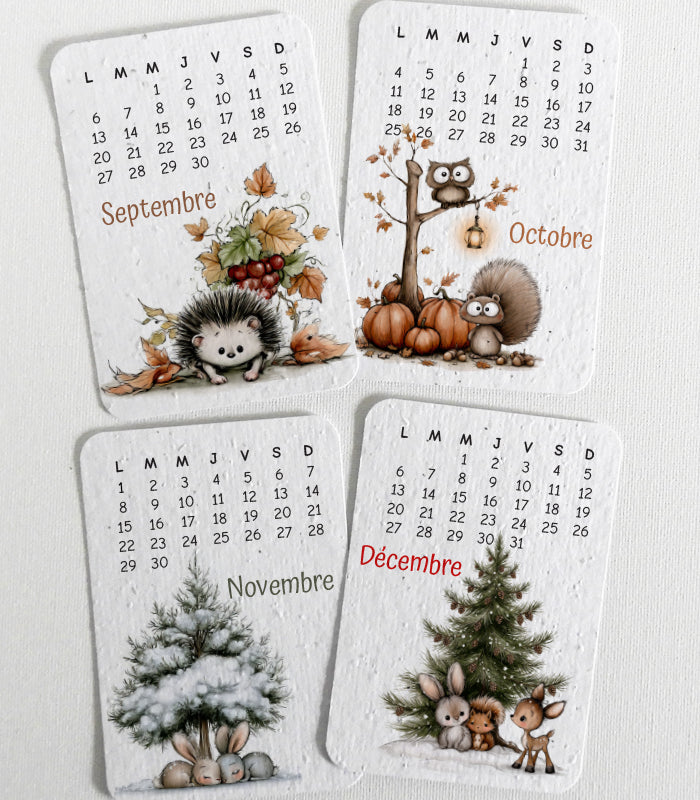 calendrier 2027 papier ensemencé