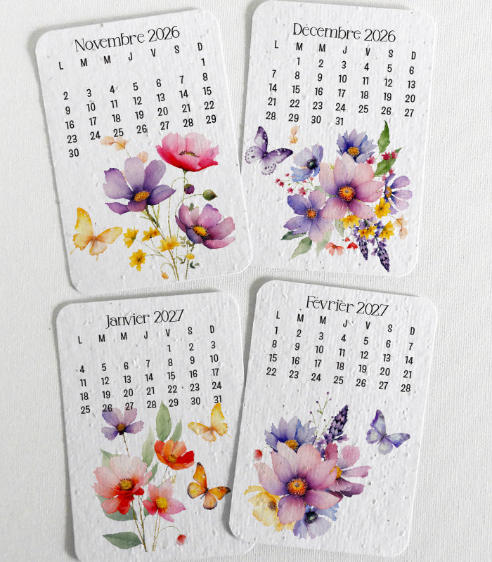 calendrier à planter cadeau écoresponsable