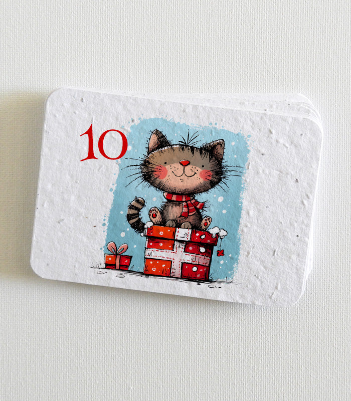 calendrier de l’avent à planter
