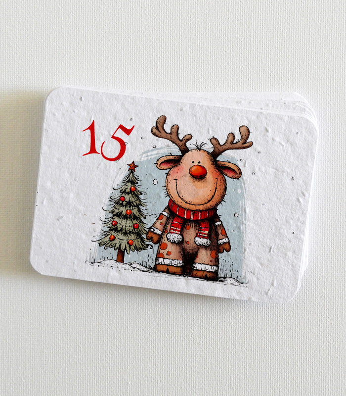calendrier de l’avent à planter