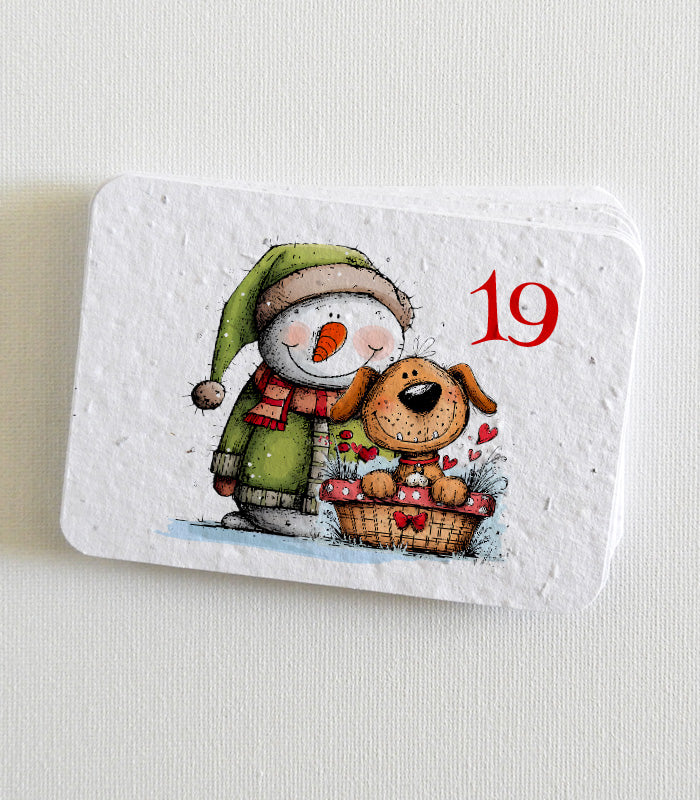 calendrier de l’avent à planter
