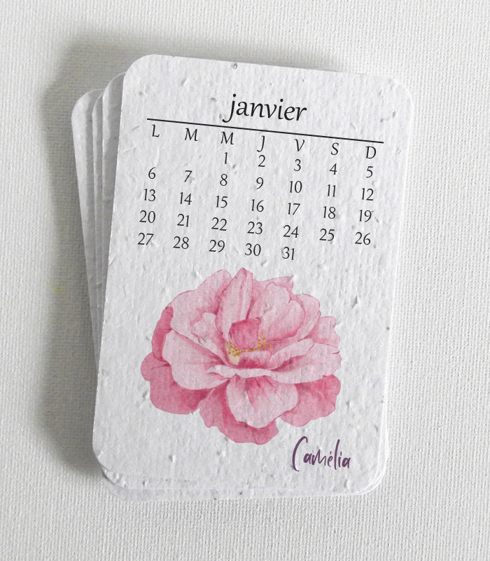 Calendrier à planter 2025 papier ensemencé