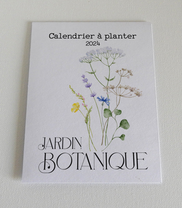 Calendrier à planter 2024 cadeau de noël original 