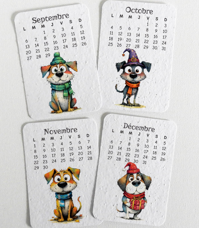 calendrier écoresponsable papier ensemencé
