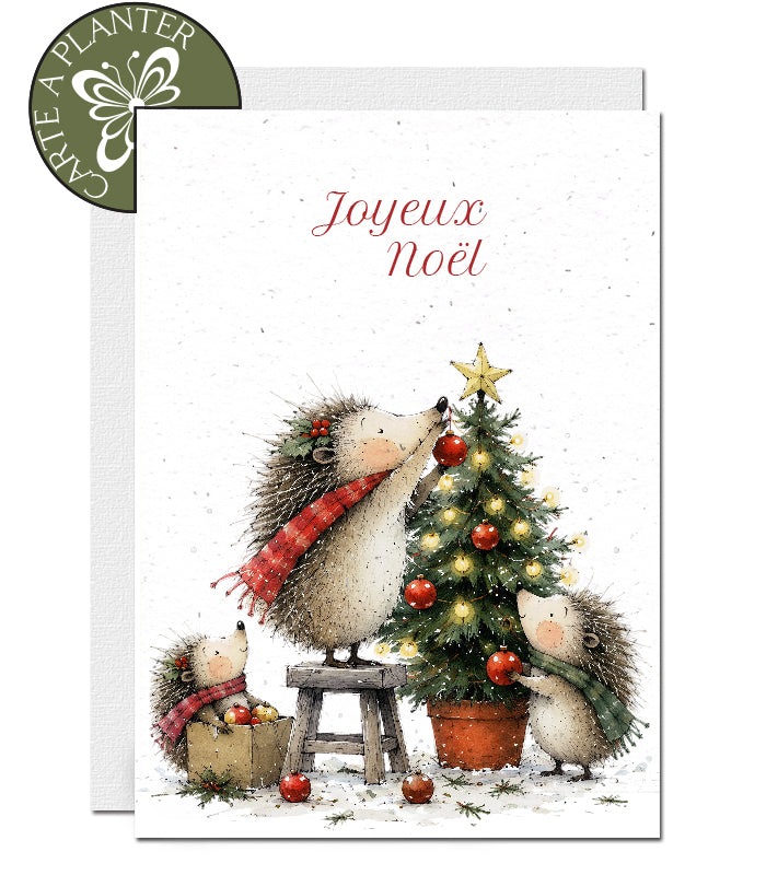 carte de Noël à planter 