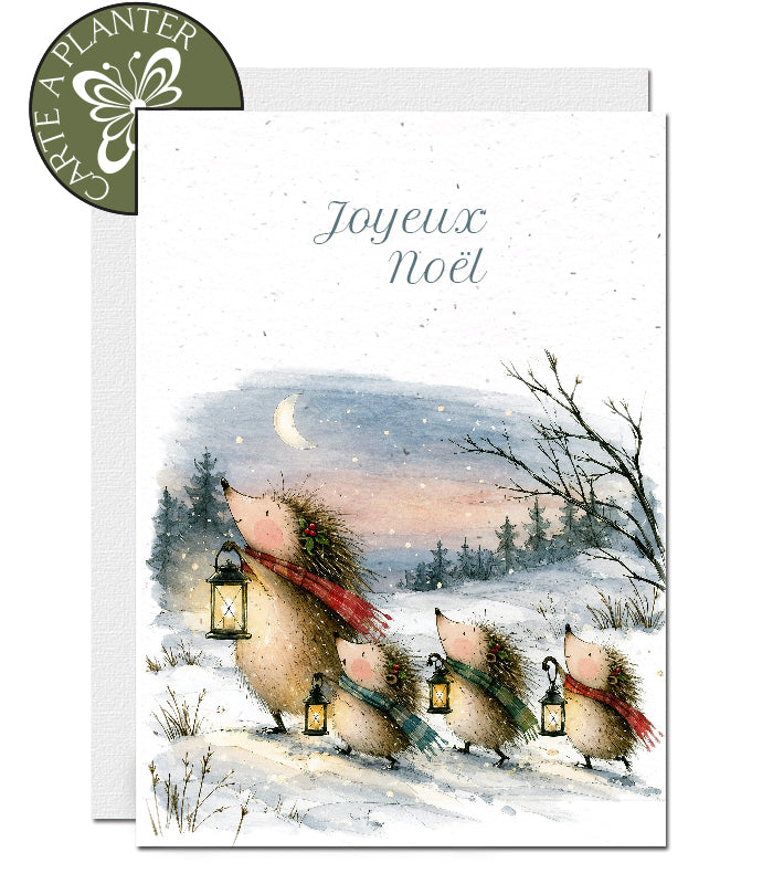 carte de Noël écoresponsable en papier ensemencé