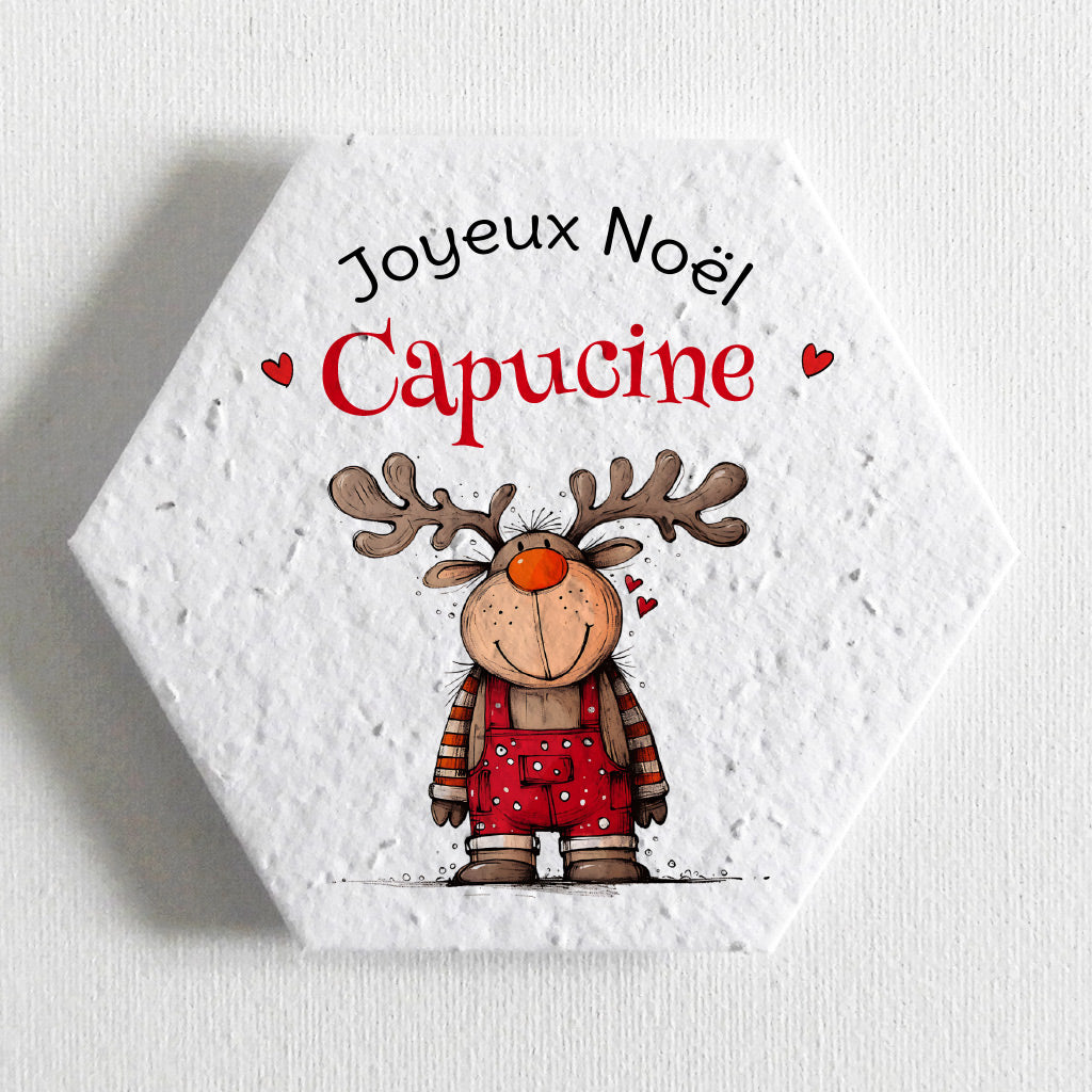 carte de à Noël écoresponsable papier ensemencé
