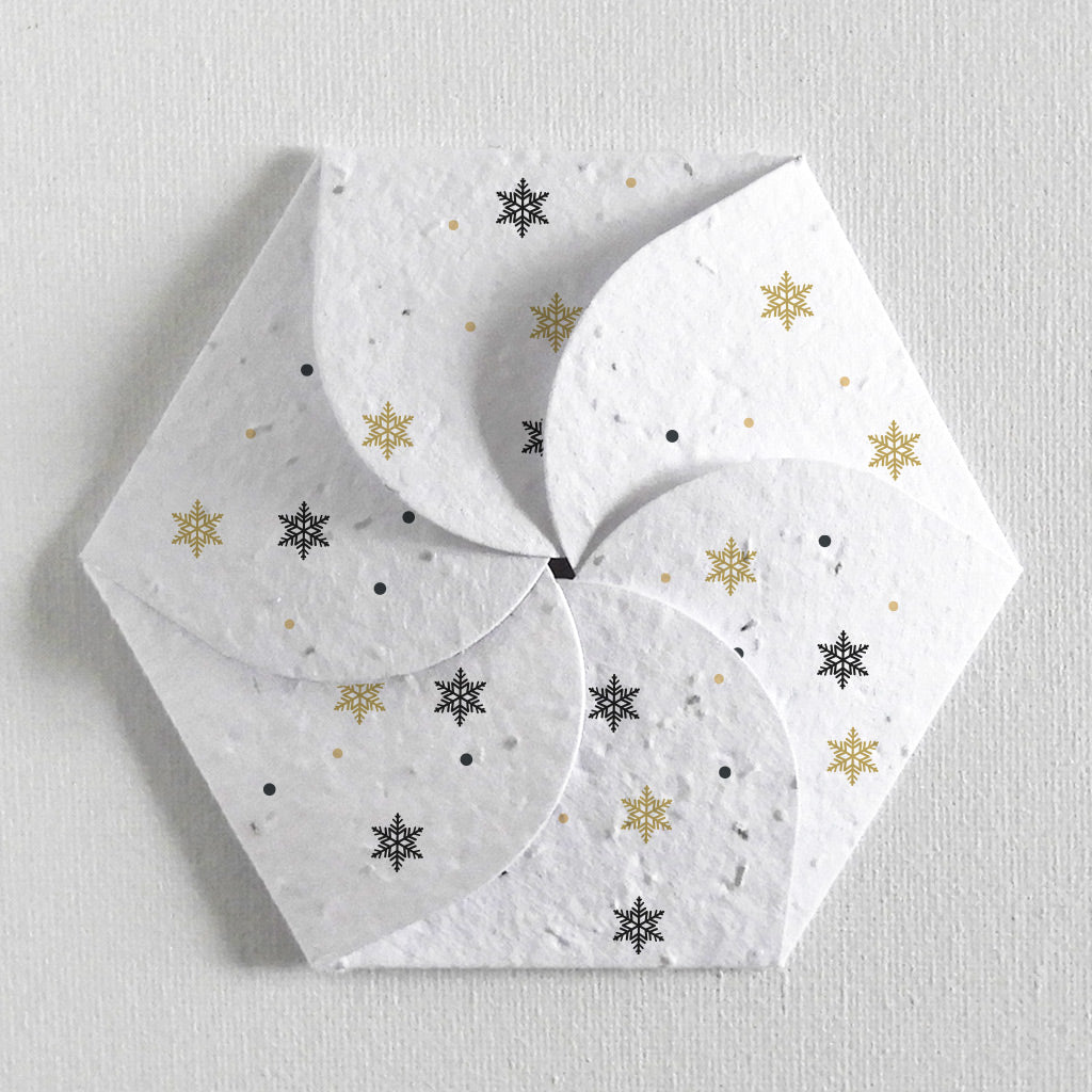 carte à planter Noël