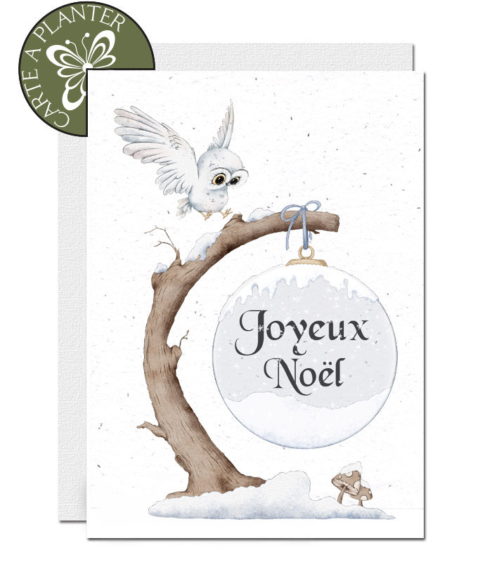 Carte à planter Noël écoresponsable 