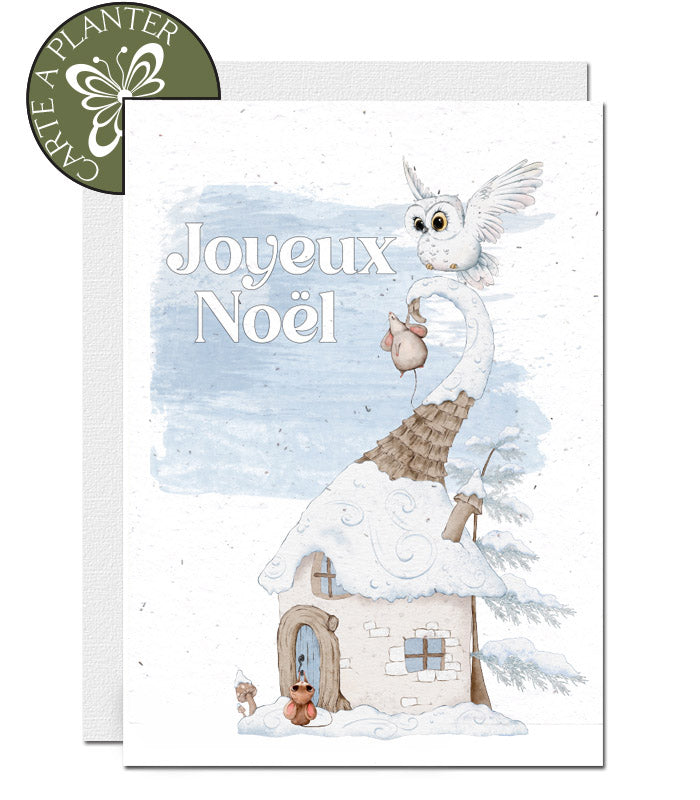 Carte de noel écoresponsable qui fleurit