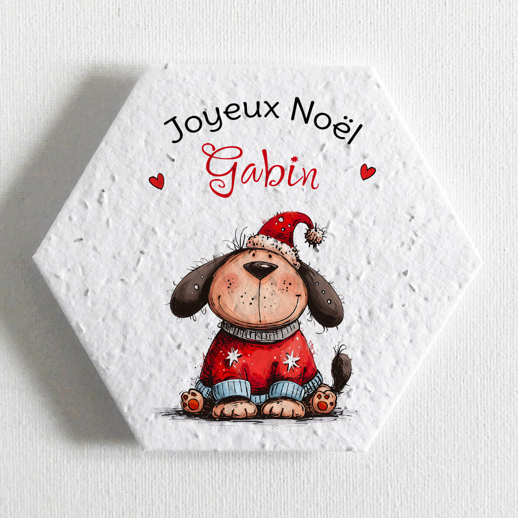 carte pétale à planter Noël