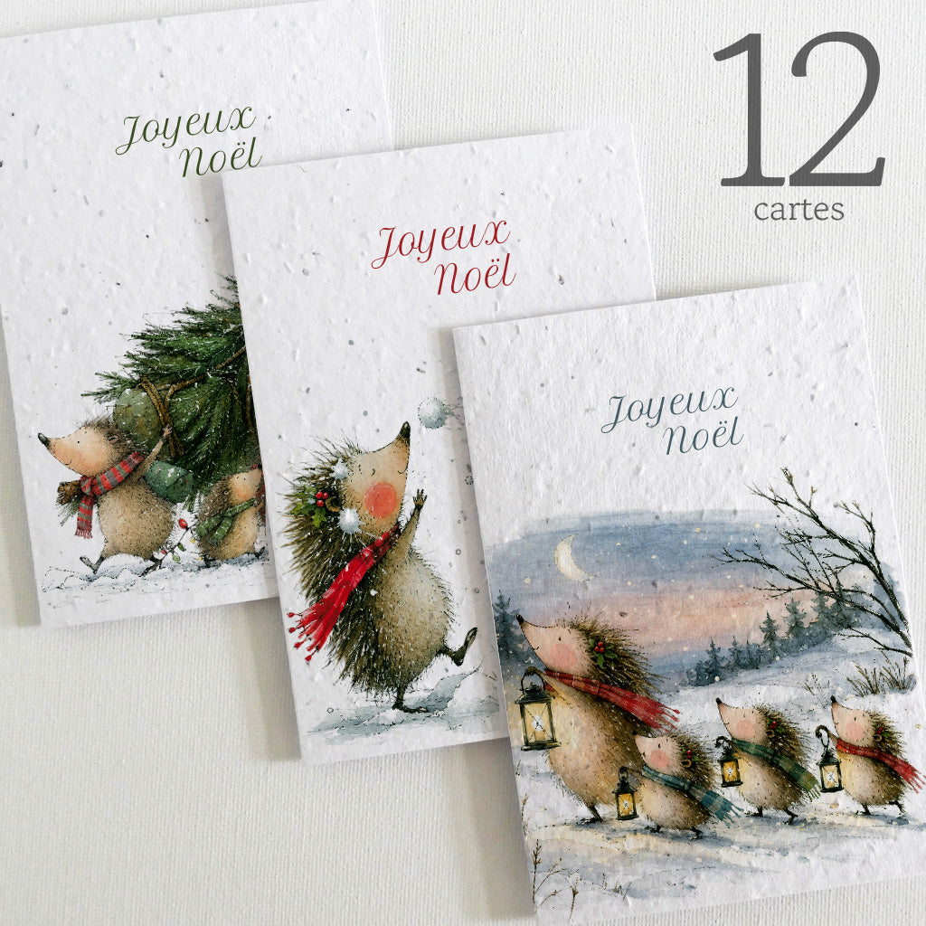 cartes de noël en papier ensemencé