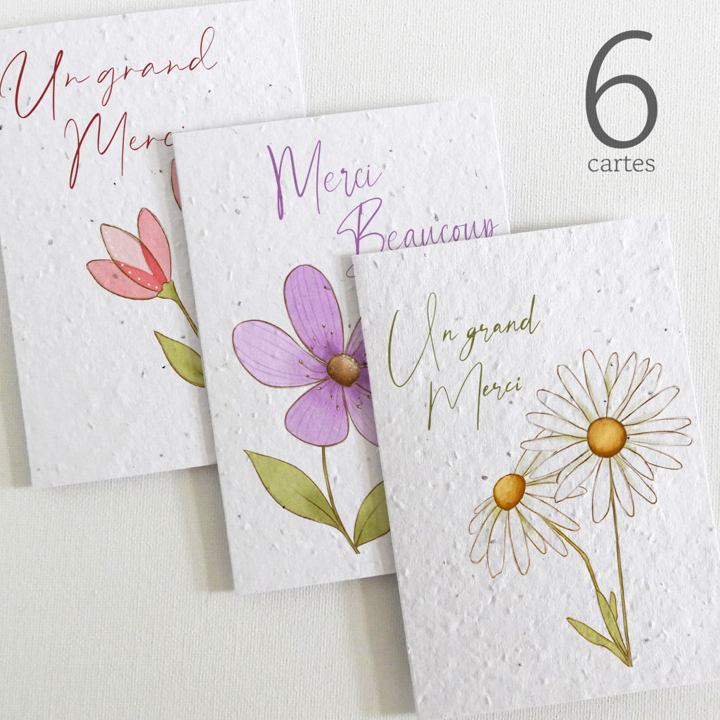 cartes de remerciements papier ensemencé