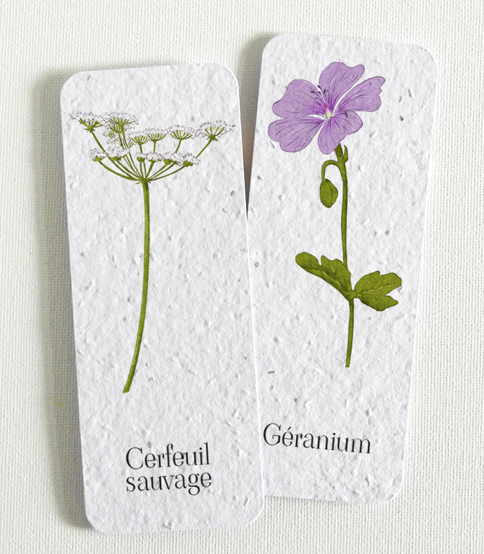 bookmarks with flower seeds Plantable Bookmarks | Eco-friendly Seed Paper Bookmarks