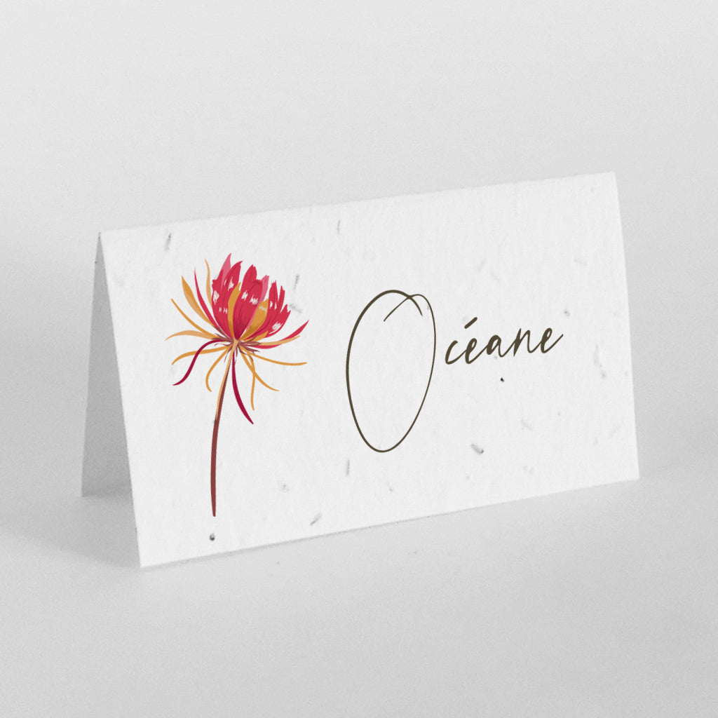 marque place mariage à planter 