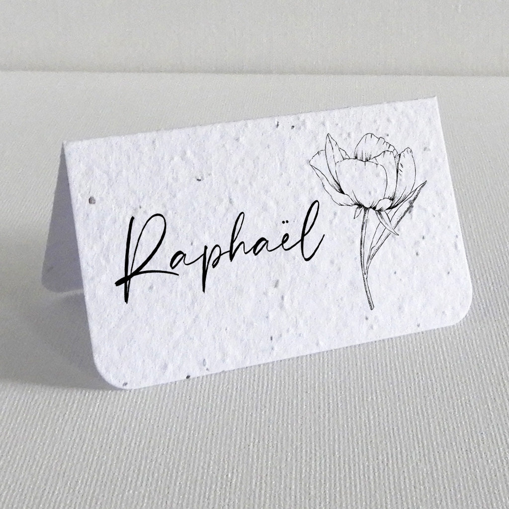 Marque-place baptême à planter