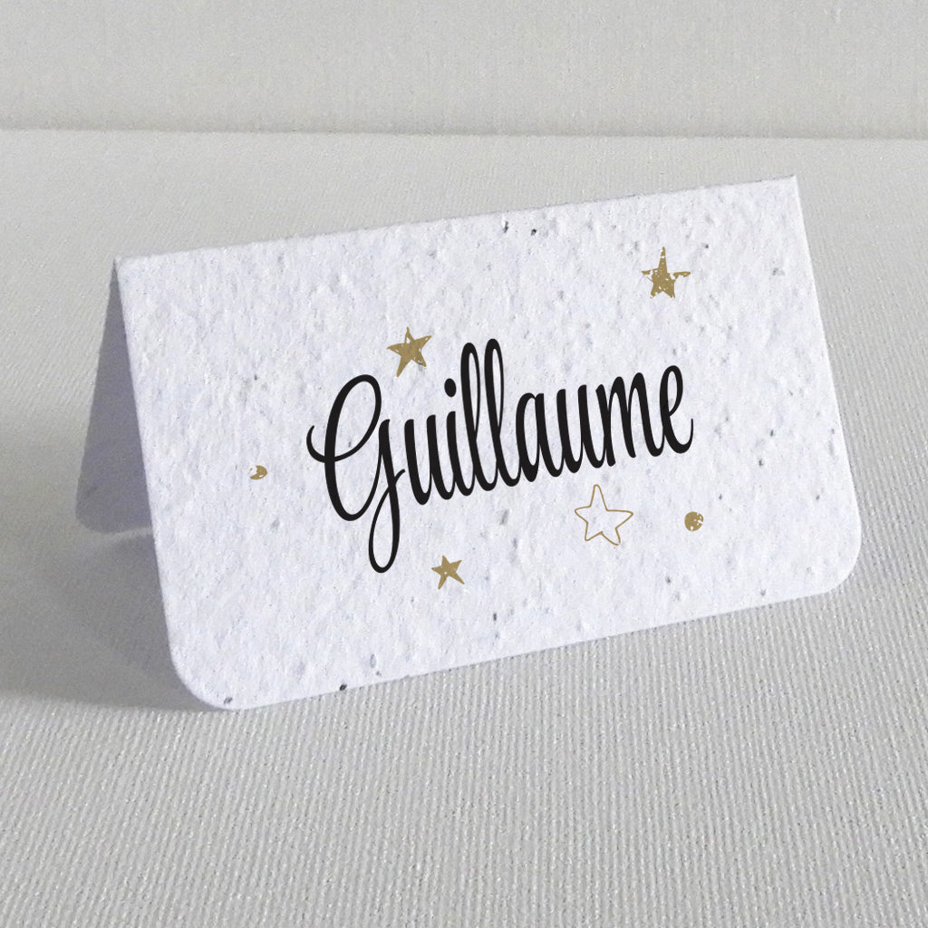 Plantable Name Place Cards - Stars