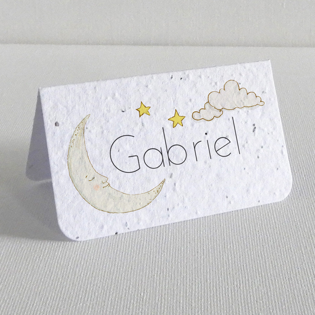 Marque-place baptême ensemencé