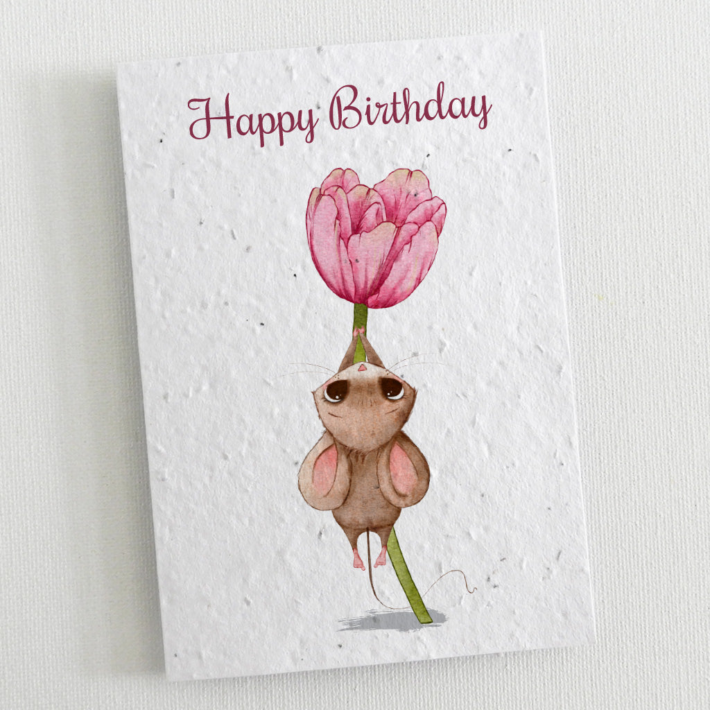 plantable cards birthday set 6