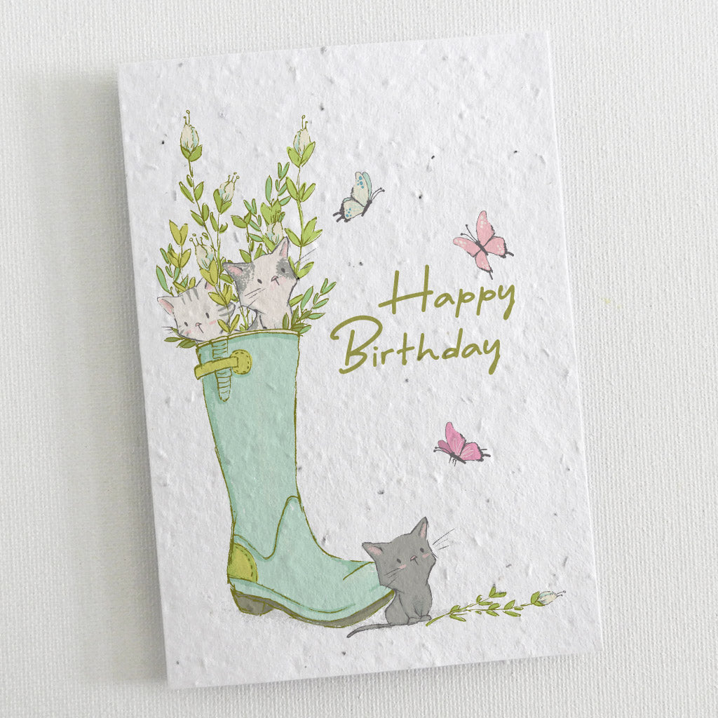 plantable birthday cards set of 6