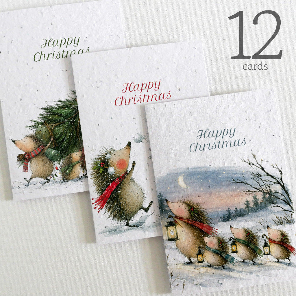plantable christmas cards
