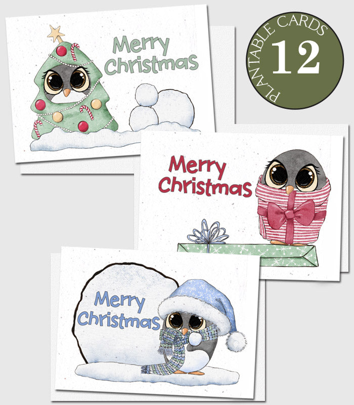 plantable seed paper christmas cards set of 12